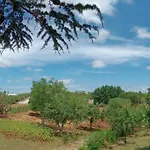 Trulli In Valle D'itria Cisternino