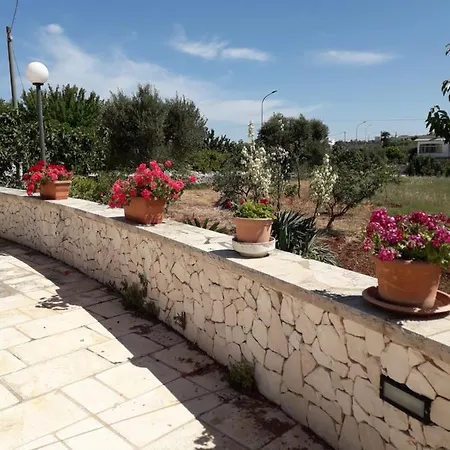 Vakantiehuis Trulli In Valle D'itria *