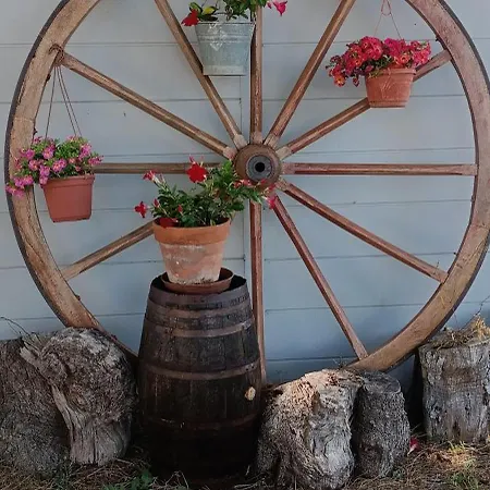 Trulli In Valle D'itria *