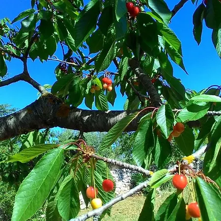 Trulli In Valle D'itria